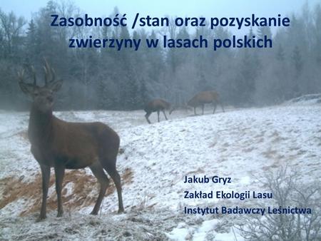 Zasobność /stan oraz pozyskanie zwierzyny w lasach polskich