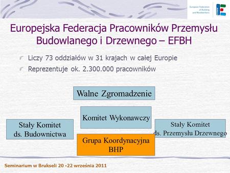 Europejska Federacja Pracowników Przemysłu Budowlanego i Drzewnego – EFBH Liczy 73 oddziałów w 31 krajach w całej Europie Reprezentuje ok. 2.300.000 pracowników.