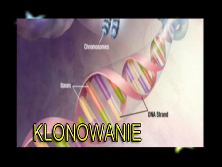 Termin klonowanie jest używany w kilku znaczeniach: 1