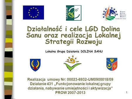 Lokalna Grupa Działania DOLINA SANU Realizacja  umowy Nr: UM /09
