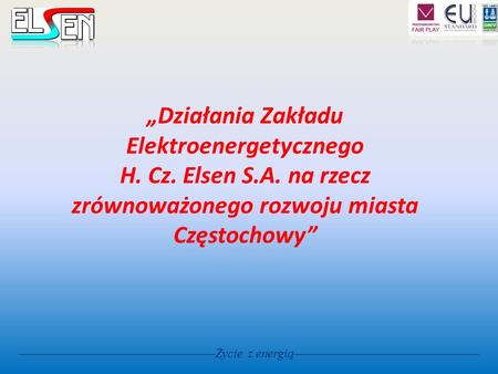 „Działania Zakładu Elektroenergetycznego H. Cz. Elsen S. A