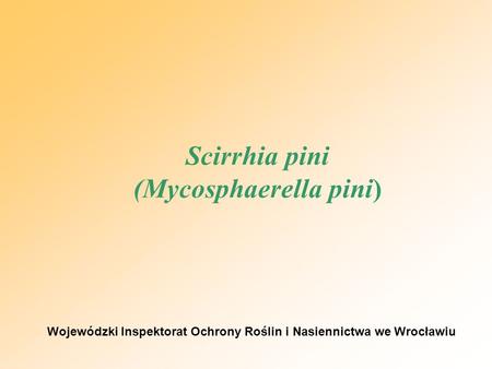 Scirrhia pini (Mycosphaerella pini)