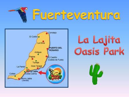 Fuerteventura La Lajita Oasis Park.