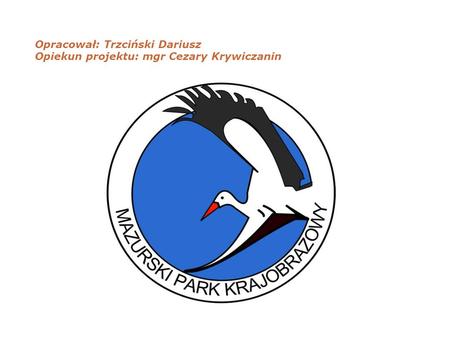 Opracował: Trzciński Dariusz Opiekun projektu: mgr Cezary Krywiczanin.