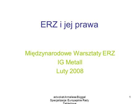 Międzynarodowe Warsztaty ERZ IG Metall Luty 2008