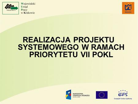 REALIZACJA PROJEKTU SYSTEMOWEGO W RAMACH PRIORYTETU VII POKL.