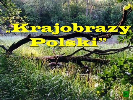 „Krajobrazy Polski” 1.