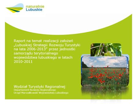Raport na temat realizacji założeń Lubuskiej Strategii Rozwoju Turystyki na lata 2006-2013 przez jednostki samorządu terytorialnego województwa lubuskiego.