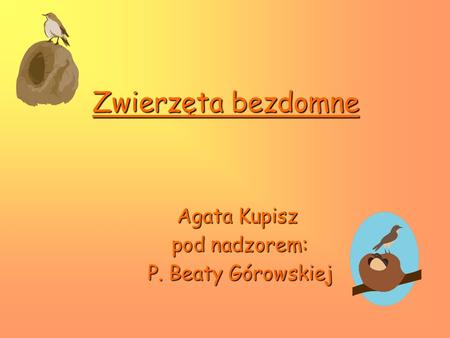 Zwierzęta bezdomne Agata Kupisz pod nadzorem: P. Beaty Górowskiej.