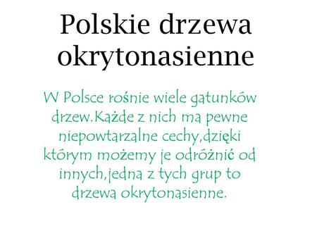 Polskie drzewa okrytonasienne