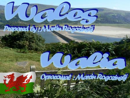 Wales Walia Prepared by : Martin Rogozinski