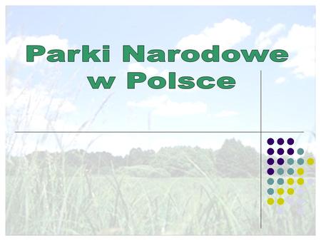Parki Narodowe w Polsce.