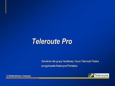 Teleroute Pro. Szkolenie dla grupy handlowej i biura Teleroute Polska