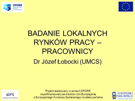 BADANIE LOKALNYCH RYNKÓW PRACY – PRACOWNICY Dr Józef Łobocki (UMCS) Projekt realizowany w ramach ZPORR, współfinansowany ze środków Unii Europejskiej z.