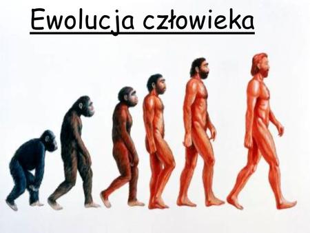 Ewolucja człowieka.