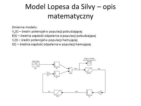 Model Lopesa da Silvy – opis matematyczny Zmienne modelu: V e (t) – średni potencjał w populacji pobudzającej E(t) – średnia częstość odpalania w populacji.