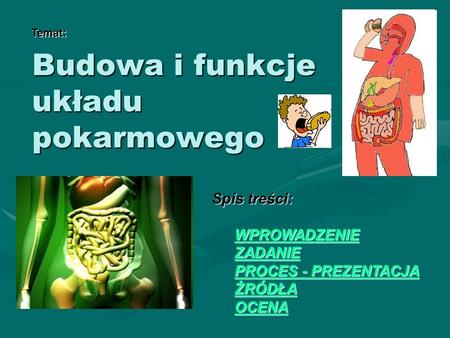 Budowa i funkcje układu pokarmowego