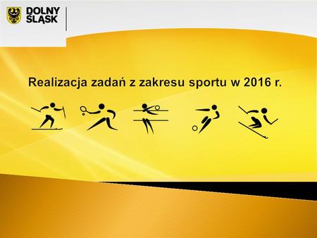 Realizacja zadań z zakresu sportu w 2016 r.