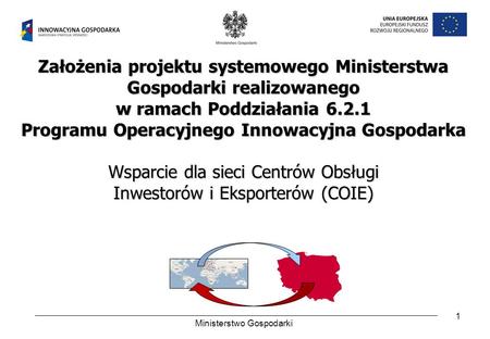 1 Założenia projektu systemowego Ministerstwa Gospodarki realizowanego w ramach Poddziałania 6.2.1 Programu Operacyjnego Innowacyjna Gospodarka Wsparcie.