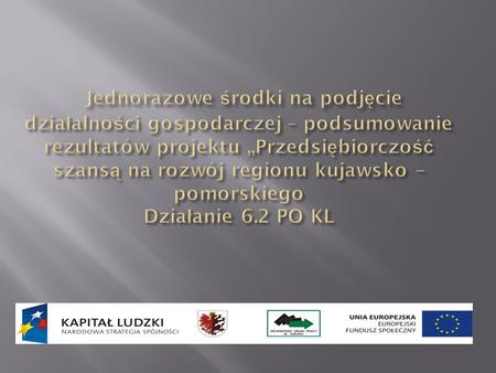 Powiatowy Urząd Pracy w Golubiu-Dobrzyniu w partnerstwie z Wojewódzkim Urzędem Pracy w Toruniu oraz pozostałymi urzędami pracy z województwa kujawsko-pomorskiego.