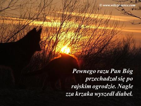 © www.wilcze-serce.com Pewnego razu Pan Bóg przechadzał się po rajskim ogrodzie. Nagle zza krzaka wyszedł diabeł.