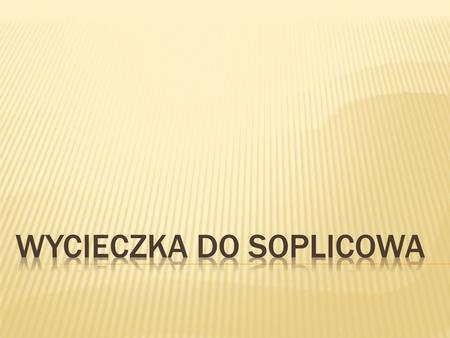 Wycieczka do Soplicowa