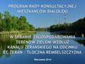 Warszawa 2016. Działania Rady Konsultacyjnej  Spotkania i korespondencja z: - PGNiG Termika oraz Gaz-System - przedstawienie przez Inwestora koncepcji.