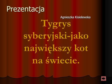 Prezentacja Agnieszka Kisielewska Tygrys syberyjski-jako największy kot na świecie.