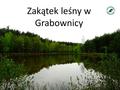 Zakątek leśny w Grabownicy. Położenie geograficzne Grabownica to wieś położona w województwie dolnośląskim, w powiecie Milickim w gminie Milicz. Nadleśnictwo.