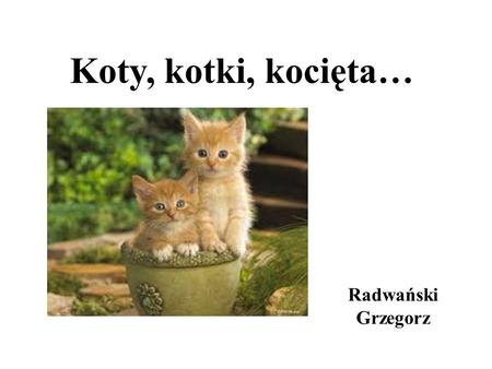 Koty, kotki, kocięta… Radwański Grzegorz.