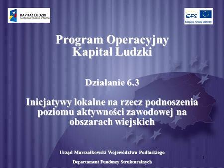 1 Program Operacyjny Kapitał Ludzki Działanie 6.3 Inicjatywy lokalne na rzecz podnoszenia poziomu aktywności zawodowej na obszarach wiejskich Urząd Marszałkowski.