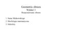 Geometria obrazu Wykład 3 Rozpoznawanie obrazu 1. Suma Minkowskiego 2. Morfologia matematyczna 3. Szkielety.