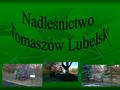 Nadleśnictwo Tomaszów jest najbardziej wysuniętym na południowy wschód nadleśnictwem Regionalnej Dyrekcji Lasów Państwowych w Lublinie. Gospodaruje na.