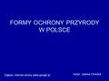 FORMY OCHRONY PRZYRODY W POLSCE Autor: Joanna Chochół Zdjęcia: internet strona www.google.pl.