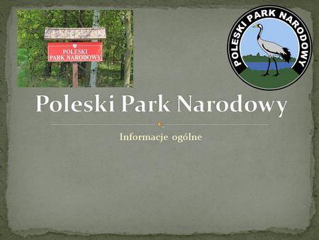 Informacje ogólne Poleski Park Narodowy- park położony w województwie lubelskim, w polskiej części Polesia, utworzony 1 maja 1990 roku. Zobaczyć można.