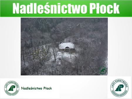 Nadleśnictwo Płock. Położenie nadleśnictwa Nadleśnictwo Płock obejmuje zasięgiem terytorialnym 238389,30 ha w 18 gminach powiatów płockiego, płońskiego.
