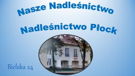 Bielska 24 Nadleśnictwo Płock obejmuje zasięgiem terytorialnym 238389,30 ha, w 18 gminach powiatów płockiego, płońskiego i sierpeckiego województwa mazowieckiego.