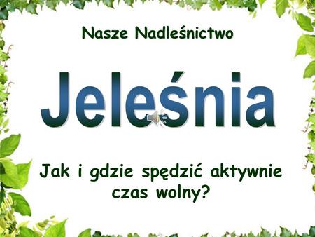 Nasze Nadleśnictwo Jak i gdzie spędzić aktywnie czas wolny?