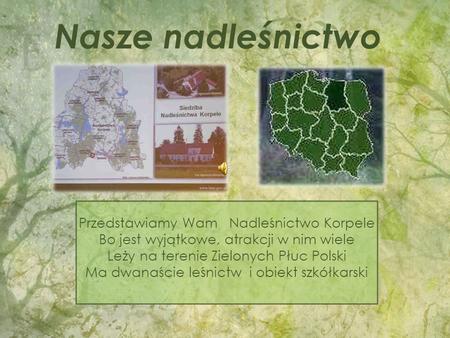 Przedstawiamy Wam Nadleśnictwo Korpele Bo jest wyjątkowe, atrakcji w nim wiele Leży na terenie Zielonych Płuc Polski Ma dwanaście leśnictw i obiekt szkółkarski.