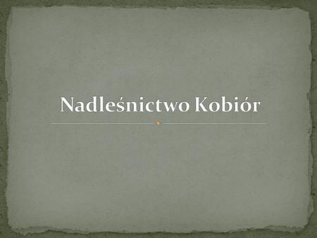 Nadleśnictwo składa się z trzech obrębów: Obręb Kobiór z leśnictwami: Gostyń, Zgoń, Czarków, Radostowice, Branica, Mokre, Mościska oraz Krolówka. Obręb.