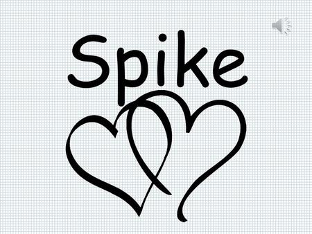 Spike Spike urodził się 16 września 2005 roku. Spike [Spajk] Dostaliśmy go już z imieniem. Na początku myśleliśmy, że jego imię jest z wiązane z nazwą.