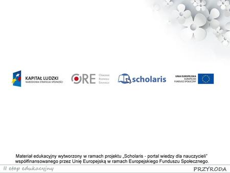 Materiał edukacyjny wytworzony w ramach projektu „Scholaris - portal wiedzy dla nauczycieli” współfinansowanego przez Unię Europejską w ramach Europejskiego.