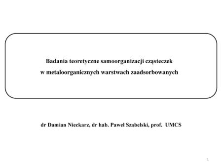 dr Damian Nieckarz, dr hab. Paweł Szabelski, prof. UMCS