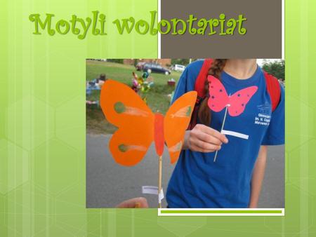 Motyli wolontariat.