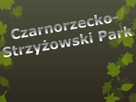 Park obejmuje najcenniejsze pod wzgl ę dem przyrodniczym, krajobrazowym i kulturowym pasma Pogórzy: Strzy ż owskiego i Dynowskiego - rozdzielonych prze.