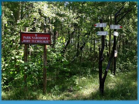 HerbY:. HerbY: Informacje Ogólne Park Narodowy Bory Tucholskie utworzono 1 lipca 1996 roku. Ochroną objęto powierzchnię 4613,05 ha lasów, jezior,