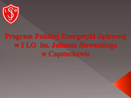  Motywy działania  Program PEJ w I LO im. Juliusza Słowackiego w Częstochowie  Organizacja I Konkursu Powiatowego  Realizacja programu PEJ w roku.