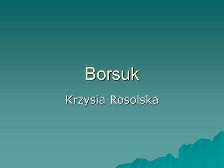 Borsuk Krzysia Rosolska.