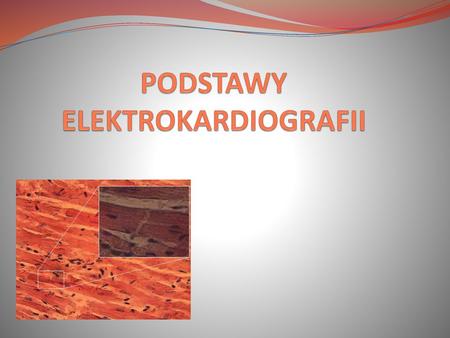 PODSTAWY ELEKTROKARDIOGRAFII