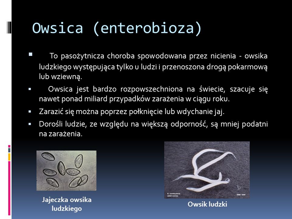 Owsica (enterobioza)